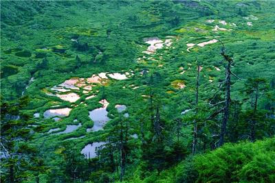 游云南 正当时 | 跟着文旅局局长走进峡谷怒江，养心天堂