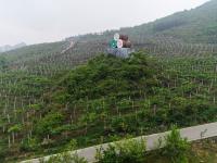 图集 | 西畴县国家石漠公园