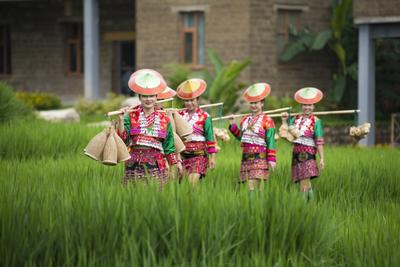 游云南 正当时丨跟随文旅“主官”感受滇中明珠——玉溪的独特魅力