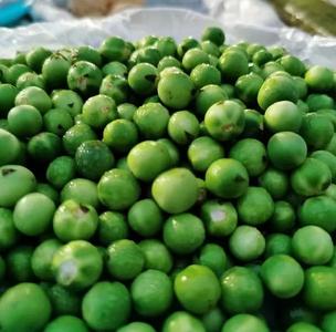 美食丨炎炎夏日 西双版纳这些苦苦的“降火美食”你吃过了吗？
