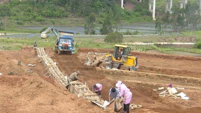 楚雄牟定：全力推进耕地占补平衡   为粮食安全生产提供保障      
