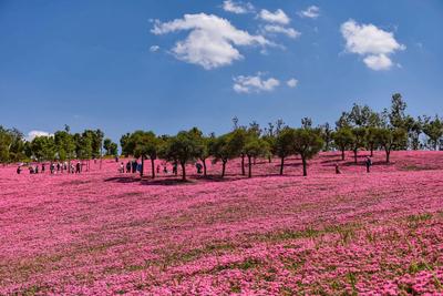 端午，弥勒这些宝藏地等你探寻！