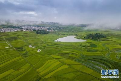 在大理凤羽“爱心湖” 邂逅浪漫星空