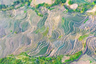 自由自在玩转红河 遇见世界文化遗产哈尼梯田“盛世美颜”