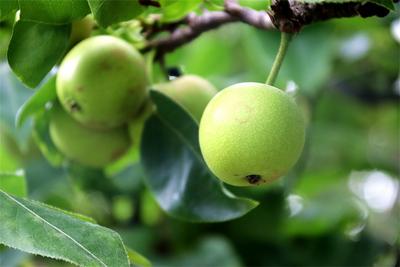 【游云南 正当时】这里，刚结束了一场市集party！