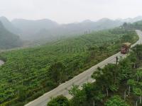 图集 | 西畴县国家石漠公园