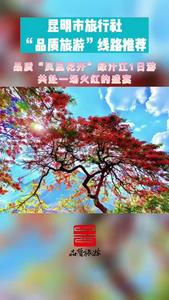视频｜昆明市品质游线路推荐 （十五）跟随“凤凰花开”绿汁江1日游，感受山河远阔与人间烟火