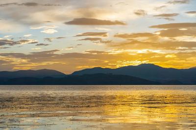 【花开四季 逐色大理】清风过境，暗香浮动！仙气飘飘的洱海太撩人