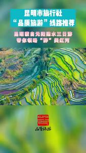 视频｜昆明市品质游线路推荐 （十六）昆明蒙自元阳建水3日游 带你领略“醉”美红河