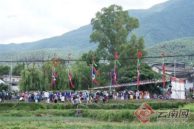 早安云南 | 炎风暑雨芒种时，栽秧会上农桑忙