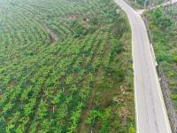 图集 | 西畴县国家石漠公园