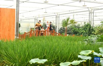 走进县城看发展｜河北正定：古今交融气象新