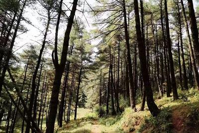 弥渡古道畅想曲