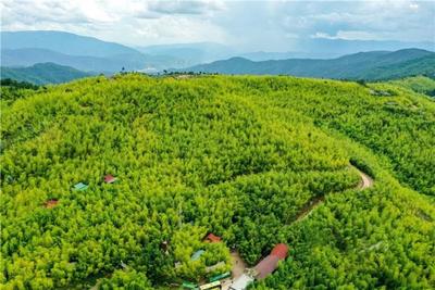 昆明品质游推荐丨玉溪峨山、元江二日游，带您远离喧嚣，沉醉于自然天地