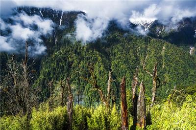 夏至怒江 “暑”你会玩