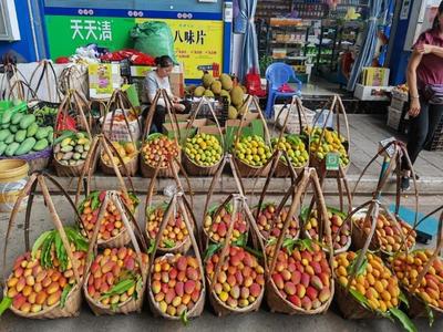 玉溪元江：线上线下结合举办芒果节   农文旅融合呈现新亮点