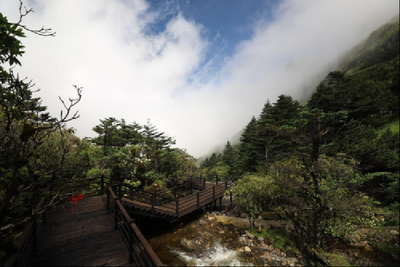 游云南 正当时｜在最美的夏季，来一场高海拔生态之旅！