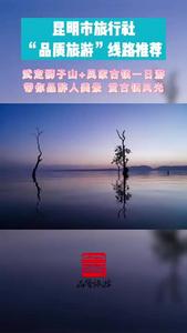 视频｜昆明市品质游线路推荐 （十三）武定狮子山+凤家古镇一日游 带你品醉人美景 赏古镇风光