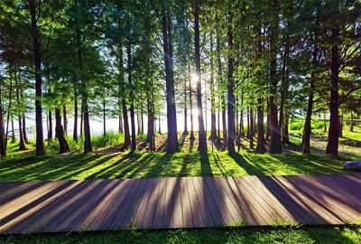 【游云南 正当时】局长为大理旅游代言，向您发出邀请！（一）