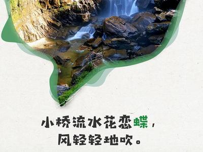 COP15 | 在歌曲中唱蝶：蝶舞如诗 美景如歌