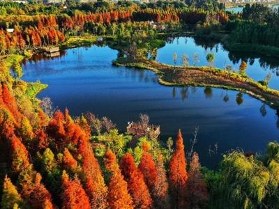 沿着总书记的足迹·云南篇 | 云南组织主题采访活动，书写云岭大地各族儿女牢记嘱托、感恩奋进、砥砺前行的精彩故事