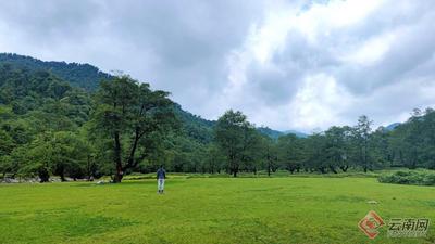 早安云南 | 中国•红河蝴蝶谷：蹁跹彩蝶舞幽谷 似梦似幻美如画