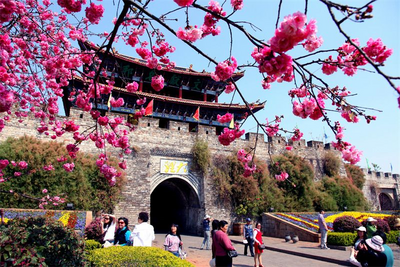 游云南 正当时 | 跨省游“熔断”政策调整 大理做足准备欢迎八方来客