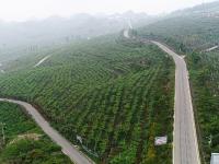 图集 | 西畴县国家石漠公园