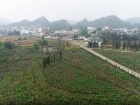 图集 | 西畴县国家石漠公园