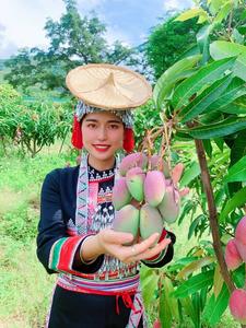 六月芒果飘香季，元江等风也等你！