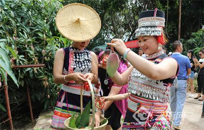 早安云南│元江金芒果，邀你畅享“滨江花果城”