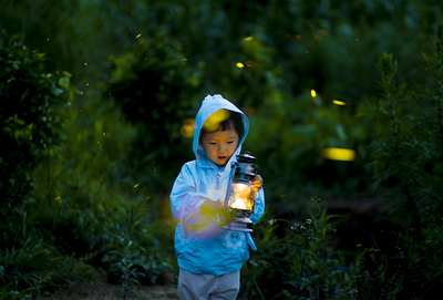 走吧，去普洱遇见一个有萤火虫的夏天！