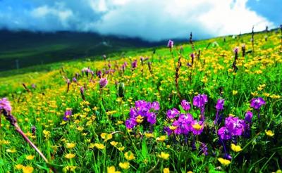 端午安康，梅里雪山欢迎您！