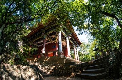 毕业季 游玉溪｜九龙池公园：游“滇南胜地” 享夏日清凉