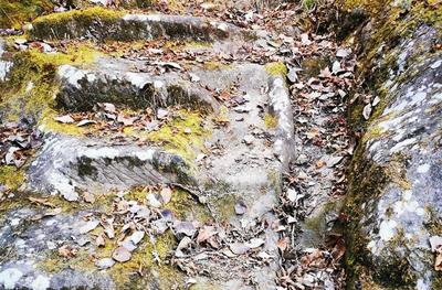 旅交会看世界游怒江 | 徒步兰坪，遇见户外精彩