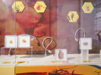 图集 | 龙隐虎魄虫珀科学博物馆