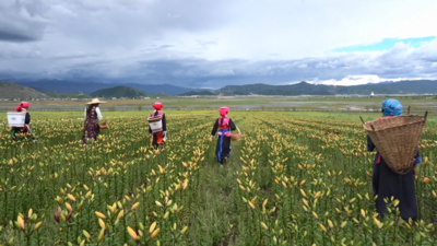 香格里拉：眼睛里的“春天”，舌尖上的“夏天”，就在纳帕海边