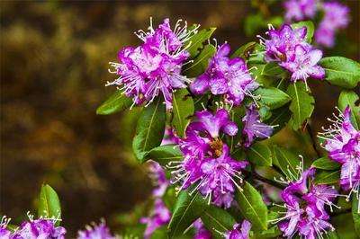 旅交会看世界游怒江 | 徒步兰坪，遇见户外精彩