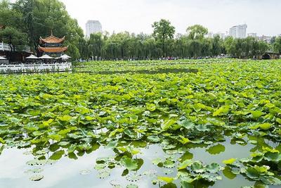 小暑 | 游云南正当时 来云南觅清凉