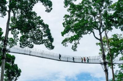 福利活动 | 纵享缤纷夏日 这份西双版纳暑期攻略记得收藏