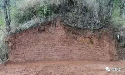 【聚焦旅交会 相约游大理】来弥渡，采撷时光沉淀之果