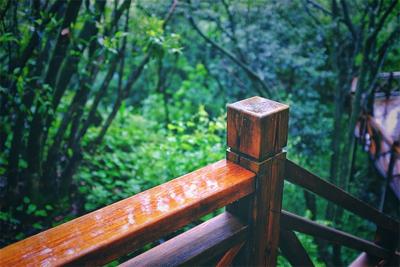  逃离城市，住进“氧吧”中的森林小屋！