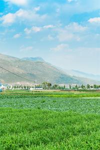 媲美宫崎骏动画里的唯美夏日，就在红河这些地方！