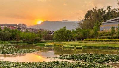 相约普洱 畅游一夏丨无量山哀牢山森林自驾之旅 静享普洱生态之美！