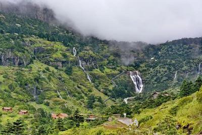 毕业季丨亲子游 轿子山邀你共赴一场高海拔生态游