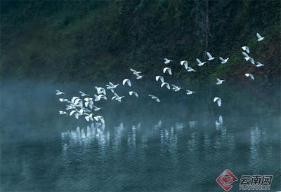 早安云南｜孔雀湖：一湖山水非等闲，一城美景入画来