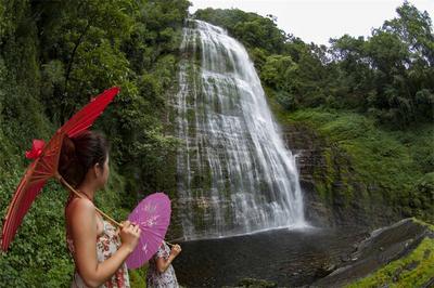 相约普洱 畅游一夏丨无量山哀牢山森林自驾之旅 静享普洱生态之美！