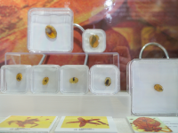 图集 | 龙隐虎魄虫珀科学博物馆