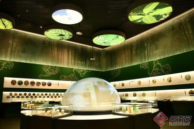 早安云南｜洟源最美七月天，菌香时节逛易门