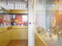 图集 | 龙隐虎魄虫珀科学博物馆